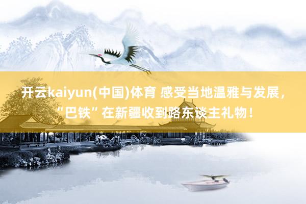 开云kaiyun(中国)体育 感受当地温雅与发展，“巴铁”在新疆收到路东谈主礼物！