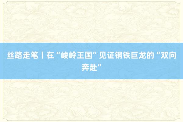 丝路走笔丨在“峻岭王国”见证钢铁巨龙的“双向奔赴”