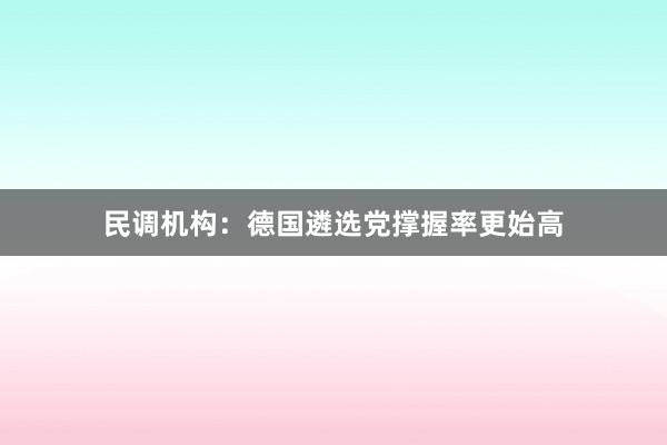 民调机构：德国遴选党撑握率更始高