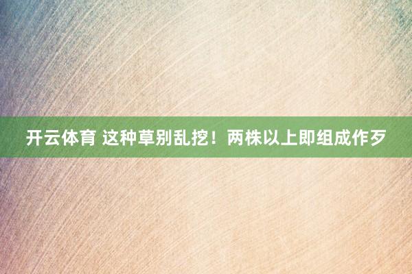 开云体育 这种草别乱挖！两株以上即组成作歹