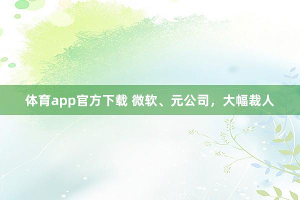 体育app官方下载 微软、元公司，大幅裁人