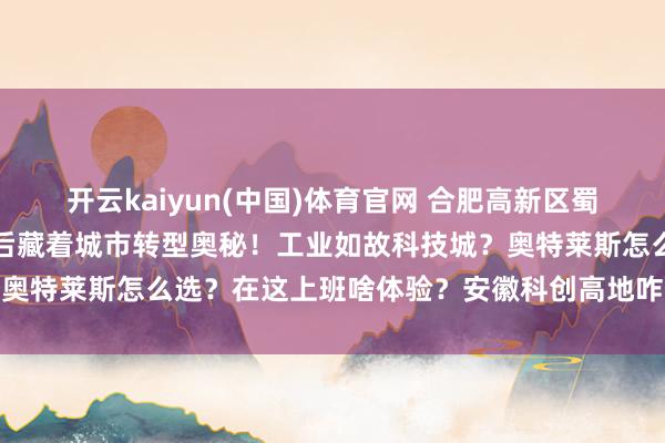 开云kaiyun(中国)体育官网 合肥高新区蜀西湖两座地标楼火了，背后藏着城市转型奥秘！工业如故科技城？奥特莱斯怎么选？在这上班啥体验？安徽科创高地咋打造？一文说