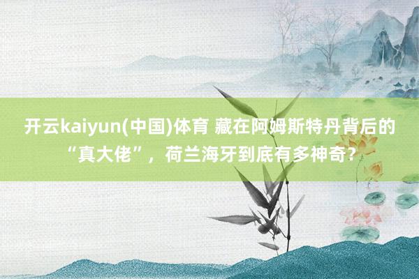 开云kaiyun(中国)体育 藏在阿姆斯特丹背后的“真大佬”，荷兰海牙到底有多神奇？
