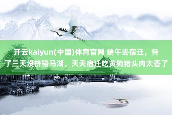 开云kaiyun(中国)体育官网 端午去宿迁，待了三天没挤骆马湖，天天宿迁吃黄狗猪头肉太香了