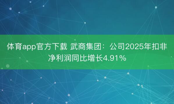 体育app官方下载 武商集团：公司2025年扣非净利润同比增长4.91%