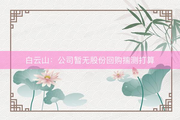 白云山：公司暂无股份回购揣测打算
