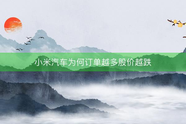小米汽车为何订单越多股价越跌